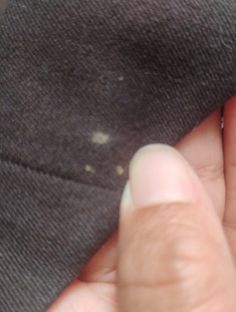 Methaphor Blazer - Picture 5 of 5
